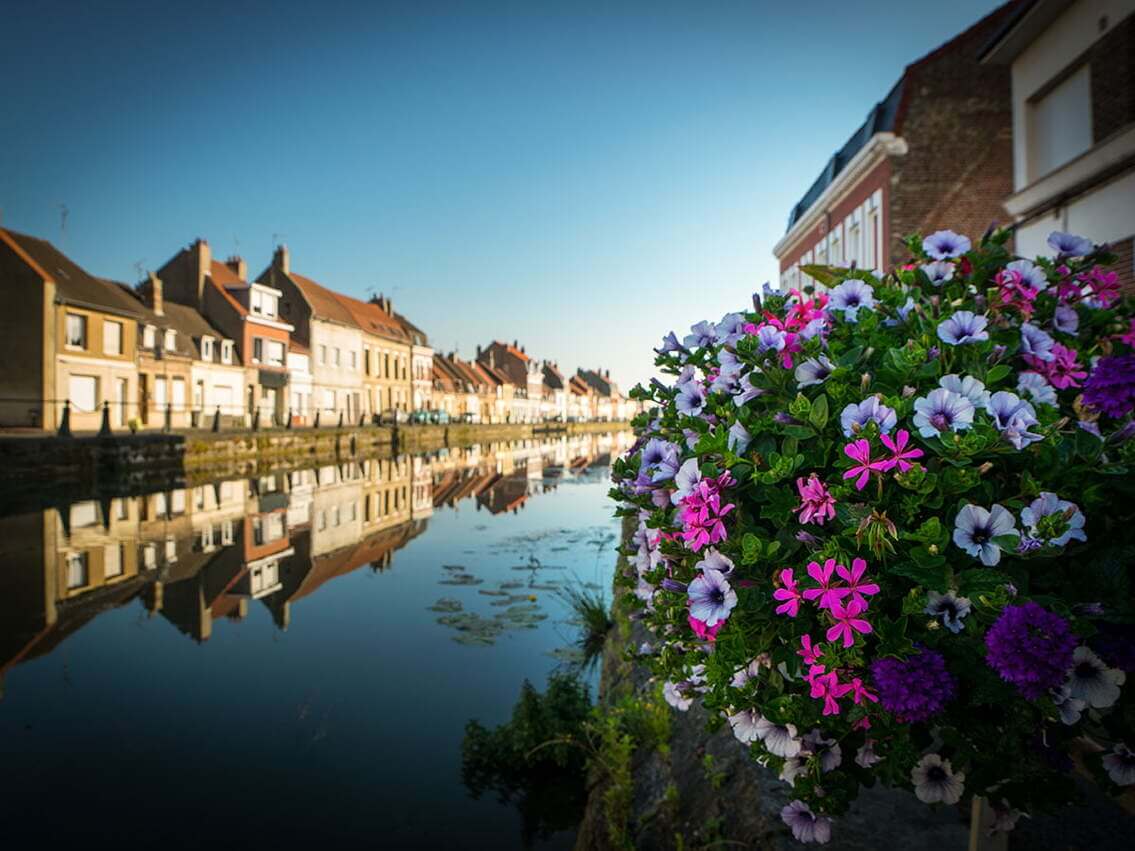 Marais audomarois traversant la ville de Saint-omer entre maisons et fleurs