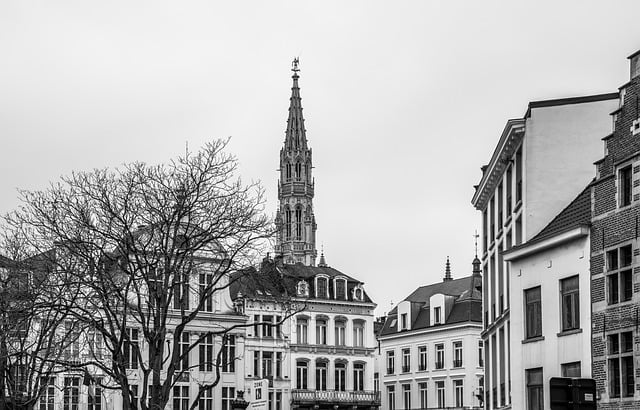 Photo représentant un clocher et un centre ville